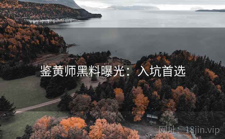 鉴黄师黑料曝光：入坑首选