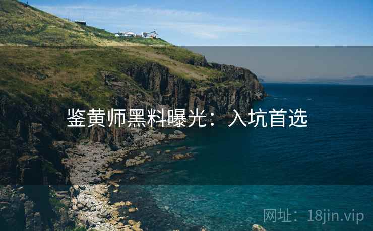 鉴黄师黑料曝光：入坑首选