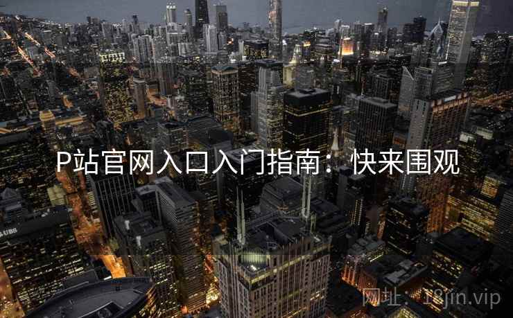 P站官网入口入门指南：快来围观