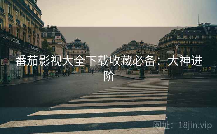 番茄影视大全下载收藏必备：大神进阶