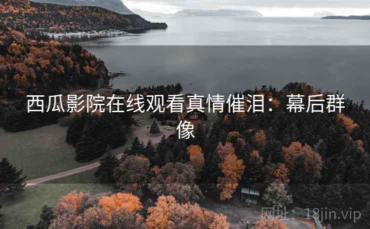西瓜影院在线观看真情催泪：幕后群像
