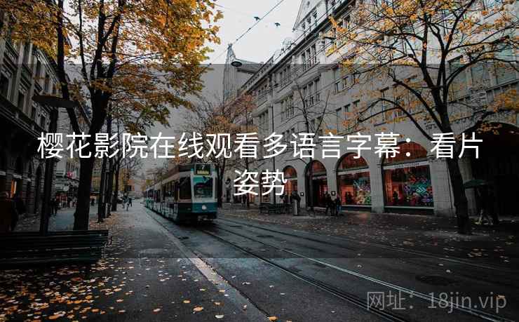 樱花影院在线观看多语言字幕：看片姿势
