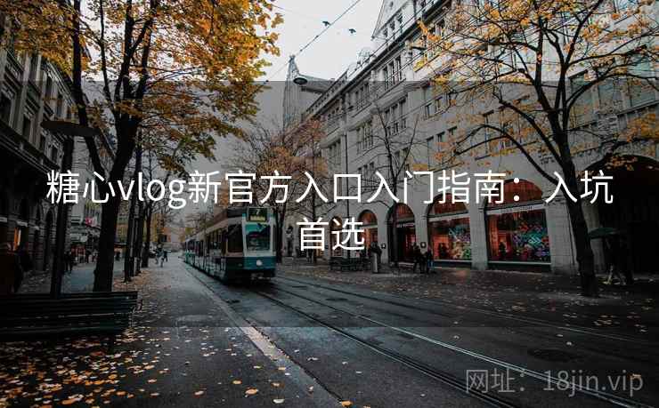 糖心vlog新官方入口入门指南：入坑首选