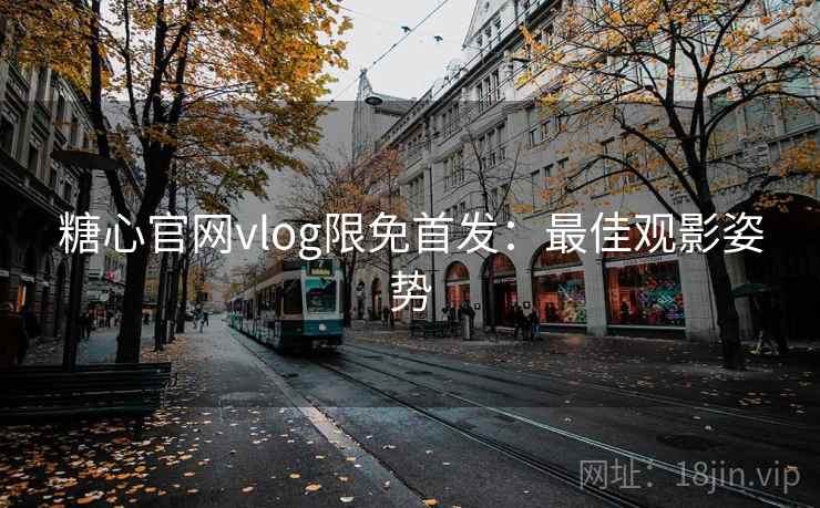 糖心官网vlog限免首发：最佳观影姿势