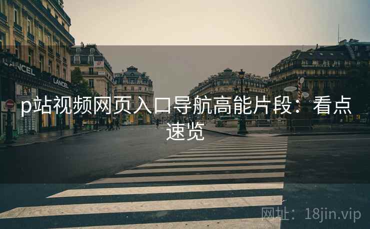 p站视频网页入口导航高能片段：看点速览